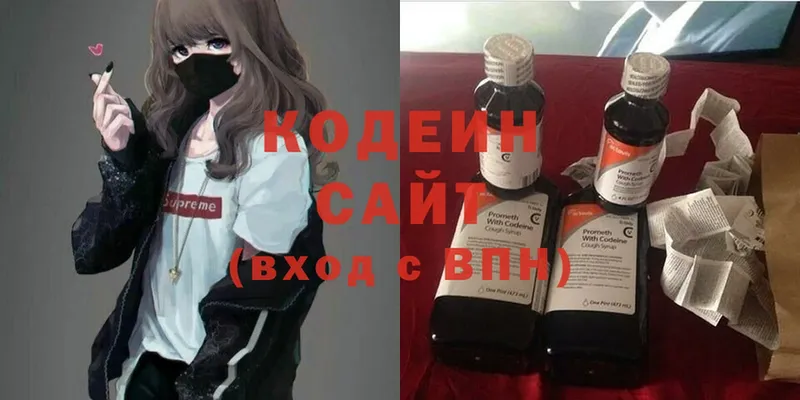 продажа наркотиков  kraken онион  Кодеин Purple Drank  Отрадная 