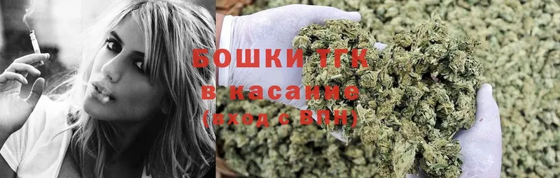 Каннабис SATIVA & INDICA  Отрадная 